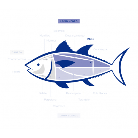 🔴 Wild Almadraba Bluefin Tuna Loin - Fresh for Grill & Stews 2