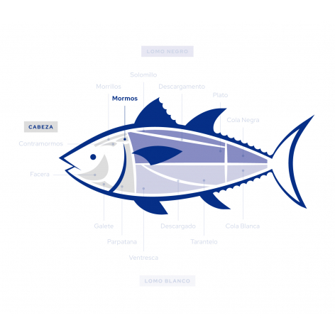 Wild Bluefin Tuna Mormo - Fresh Almadraba Cut | Free Shipping 2