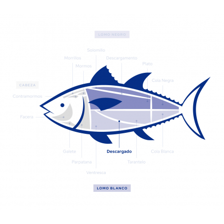 Dados de Tartar de Atún Rojo ultracongelado | Preparación rápida