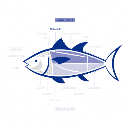 Ultimate Wild Almadraba Tuna BBQ Pack for Gourmet Grilling 🎣