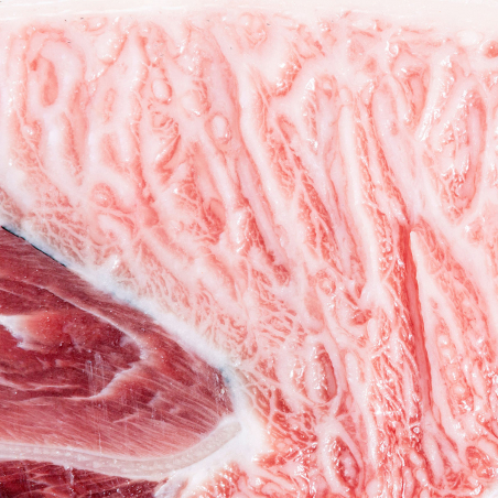 Wild Bluefin Tuna Parpatana – Premium Juicy Cut 🐟