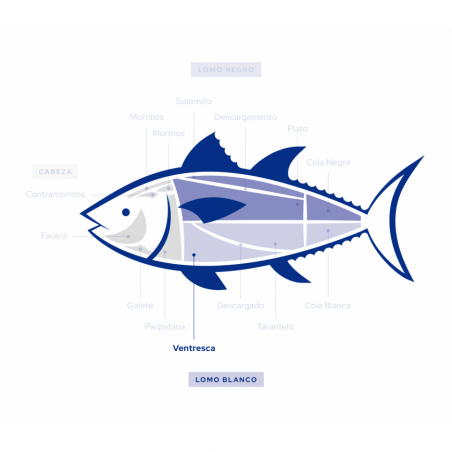 Wild Bluefin Tuna Belly Fillets | Ultra-Frozen 🦐