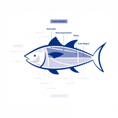 Wild Bluefin Tuna Loin | Ultra-Frozen Sushi & Sashimi