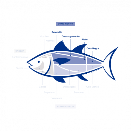 Wild Bluefin Tuna Loin | Ultra-Frozen Sushi & Sashimi