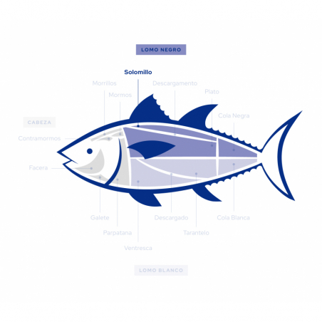 Wild Bluefin Tuna Loin Steak | Flash Frozen 🐟